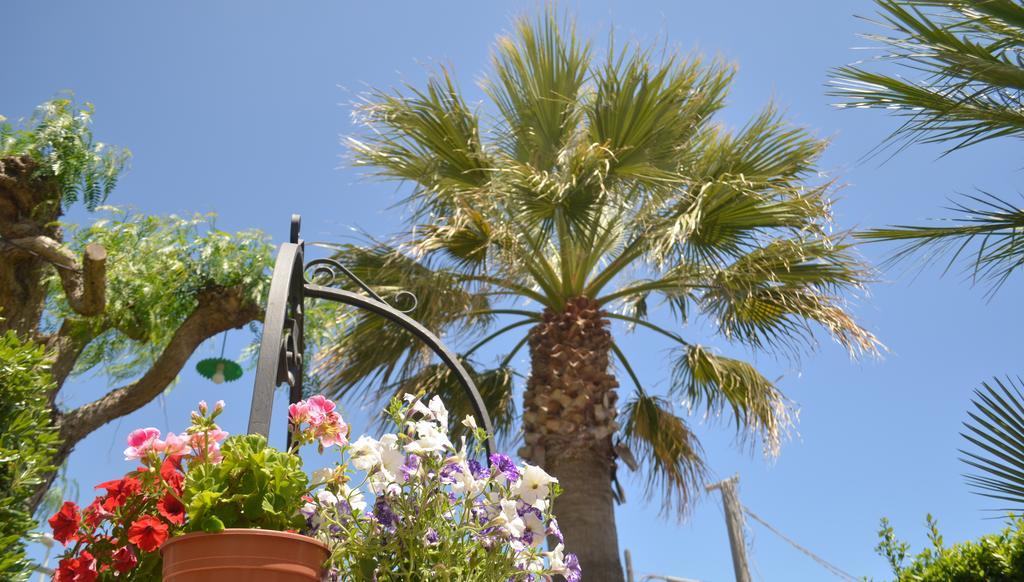 Ansise Guest House Lido di Noto エクステリア 写真